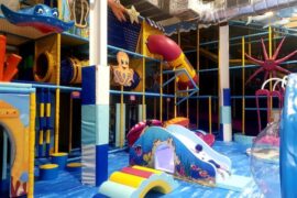 Things to do with Kids in the Suburb of Macgregor Brisbane City