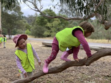 Things to do with Kids in the Suburb of Mornington Melbourne