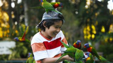 Things to do with Kids in the Suburb of Mount Low Queensland