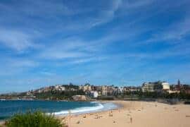 Things to do with Kids in the Suburb of North Coogee Western Australia