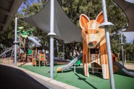 Things to do with Kids in the Suburb of Parramatta Park Queensland