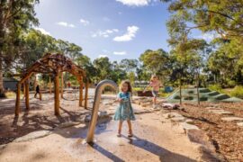 Things to do with Kids in the Suburb of Pasadena Adelaide