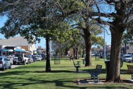 Things to do with Kids in the Suburb of Swan Hill Victoria