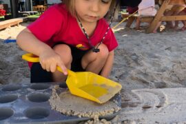 Things to do with Kids in the Suburb of Wamuran Queensland