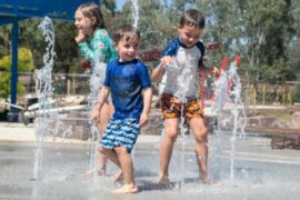 Things to do with Kids in the Suburb of Warburton Melbourne