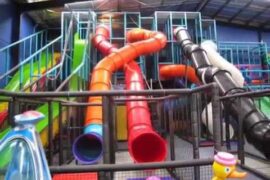 Things to do with Kids in the Suburb of Windsor Melbourne