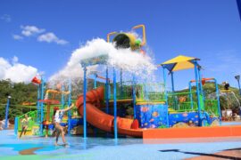 Things to do with Kids in the Suburb of Woree Queensland