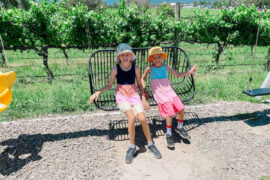 Things to do with Kids in the Suburb of Yarra Glen Melbourne