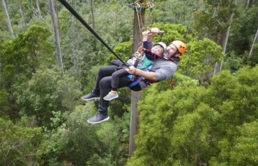 Things to do with Toddlers in Launceston