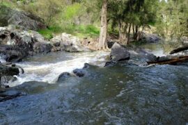 Tuggeranong Creek Rapids Tuggeranong