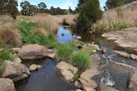 Umbagong District Park Latham