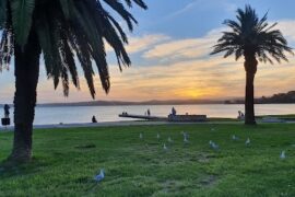 Warners Bay Foreshore Reserve Warners Bay