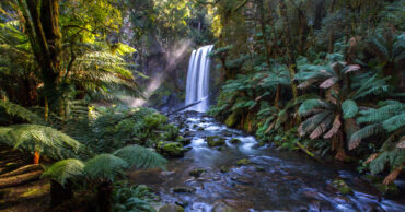 Waterfalls in Geelong