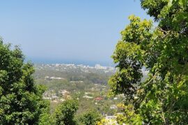 Whites Lookout and Park Buderim