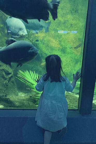 Zoos, Animal Farms and Aquariums in Albury-Wodonga