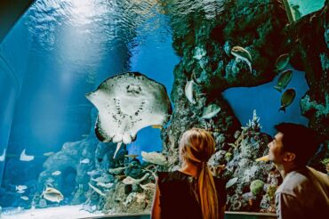 Zoos, Animal Farms and Aquariums in Cairns