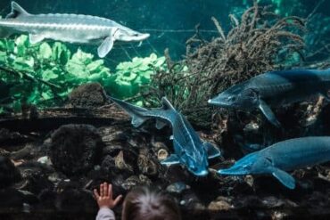 Zoos, Animal Farms and Aquariums in Newcastle