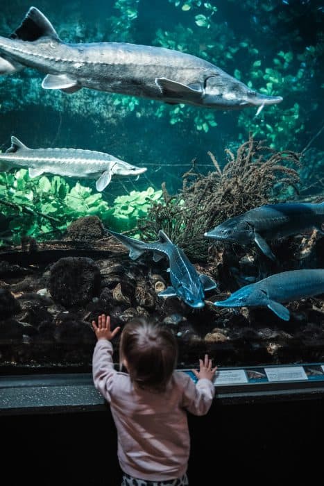 Zoos, Animal Farms and Aquariums in Newcastle