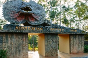 aus reptile park