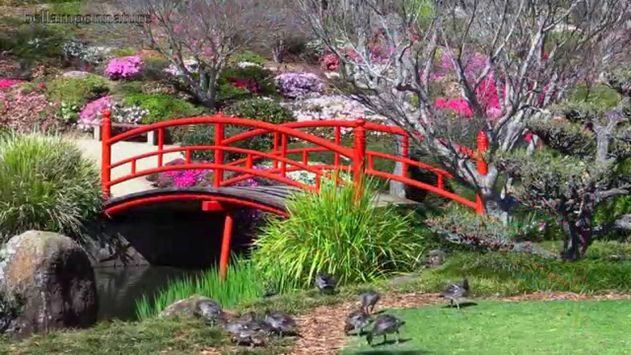 australia gardens