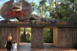 australia reptile park