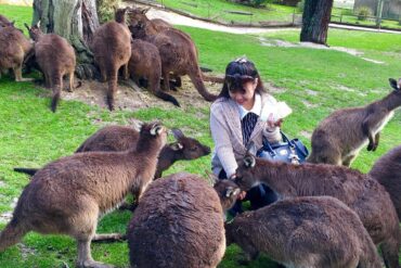 ballarat wild life park