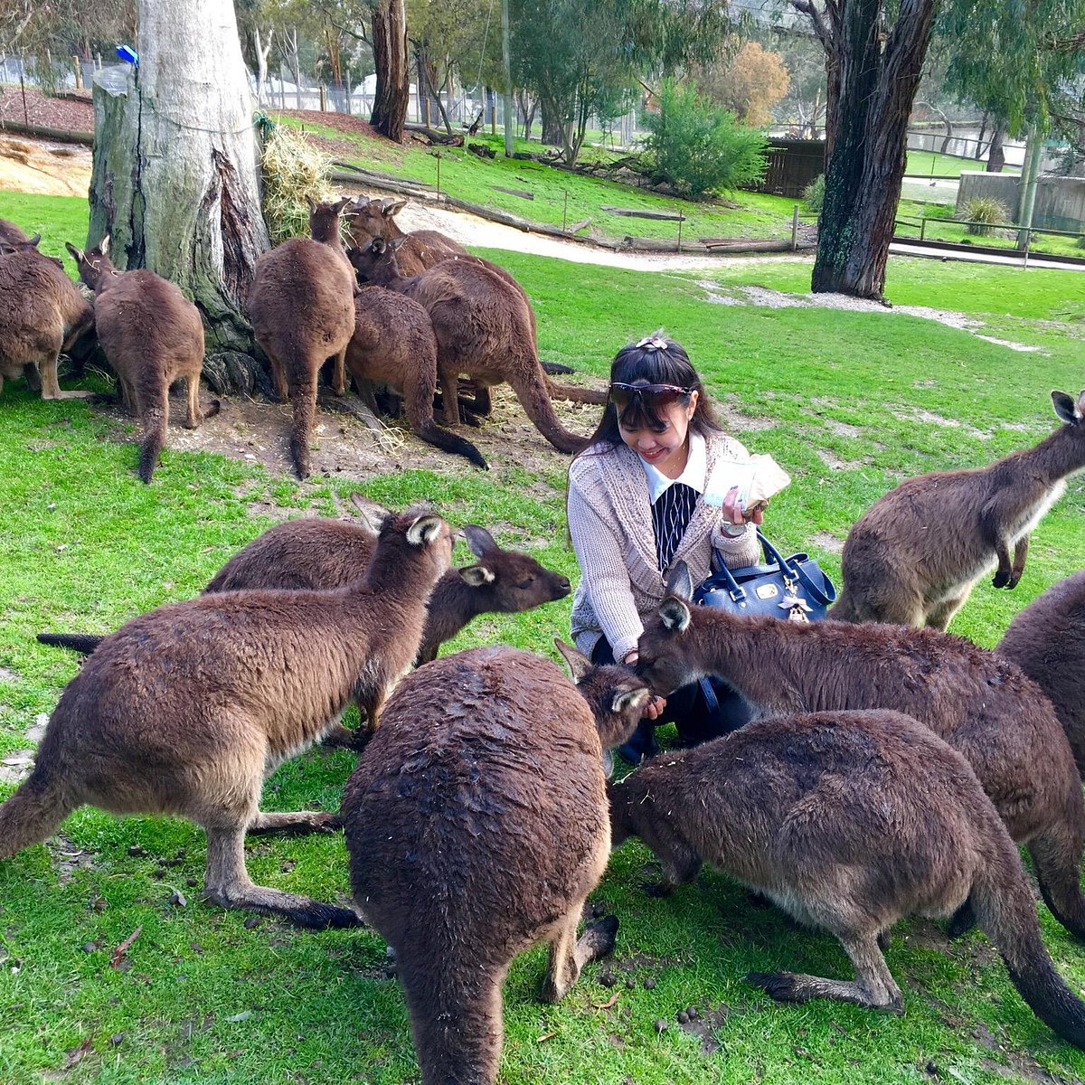 ballarat wild life park