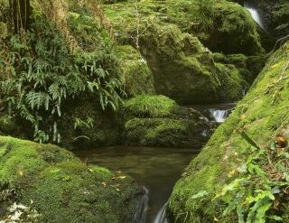 barrington tops national park nsw