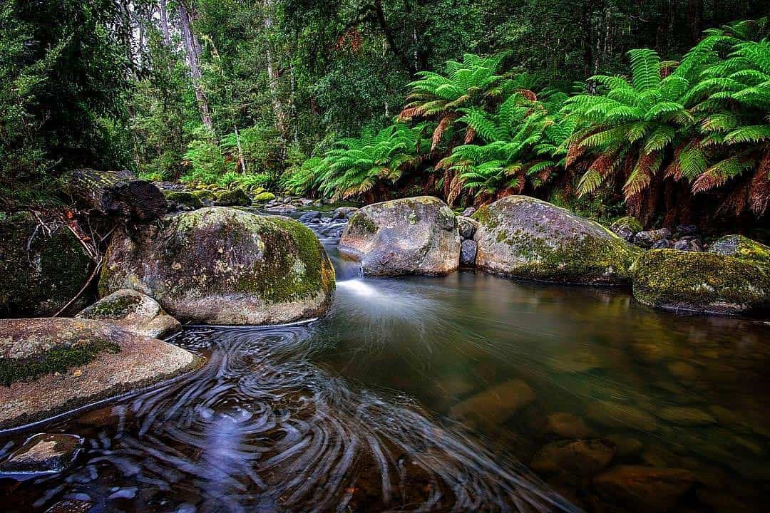 barrington tops national parks