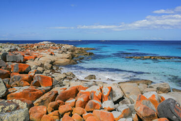 bays of fire tasmania