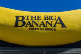 big banana