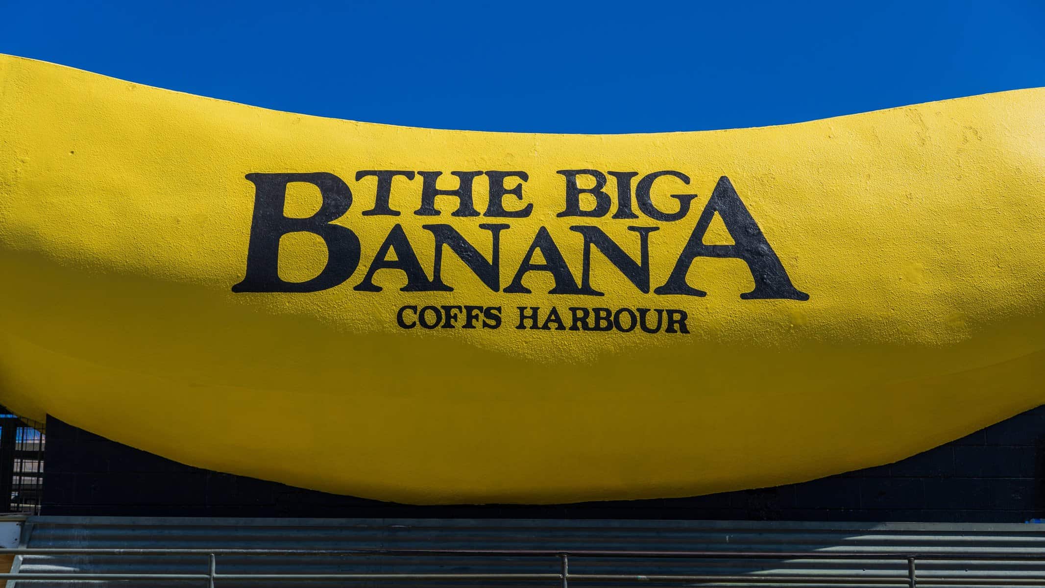 big banana