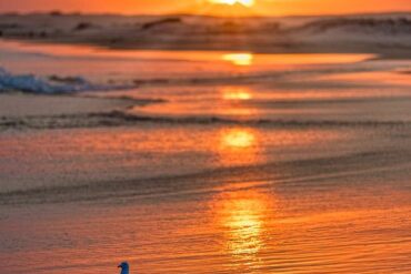 birubi beach nsw