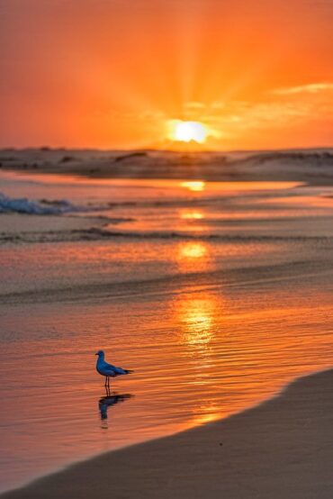 birubi beach nsw