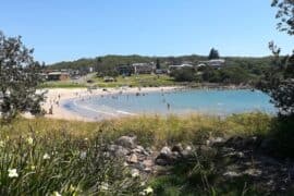 boat harbour port stephens