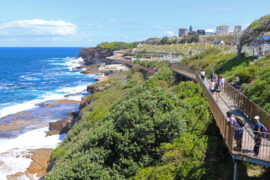 bondi coogee walk