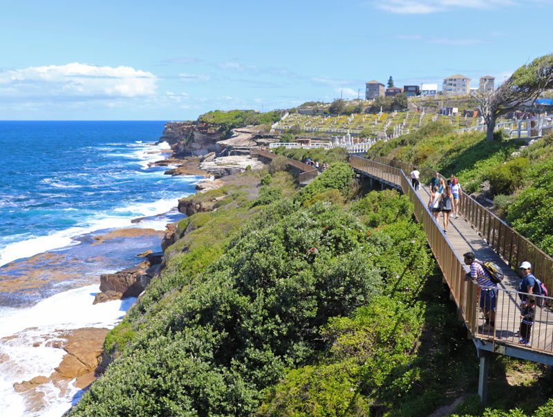 bondi coogee walk