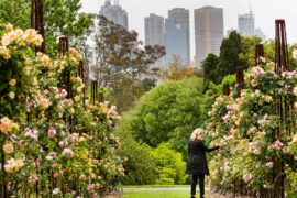 botanic garden melbourne