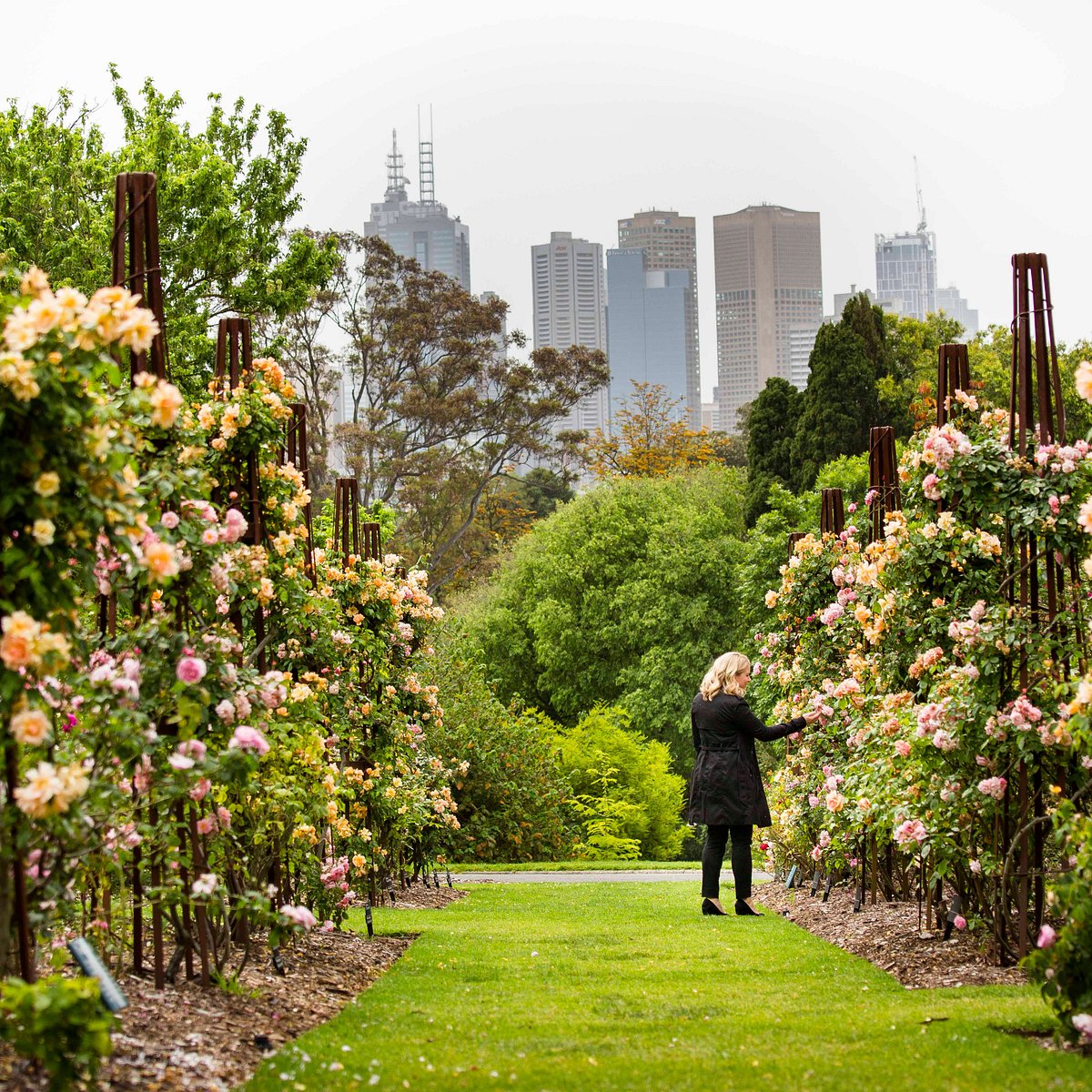 botanic garden melbourne