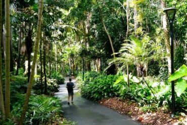 botanic gardens in brisbane