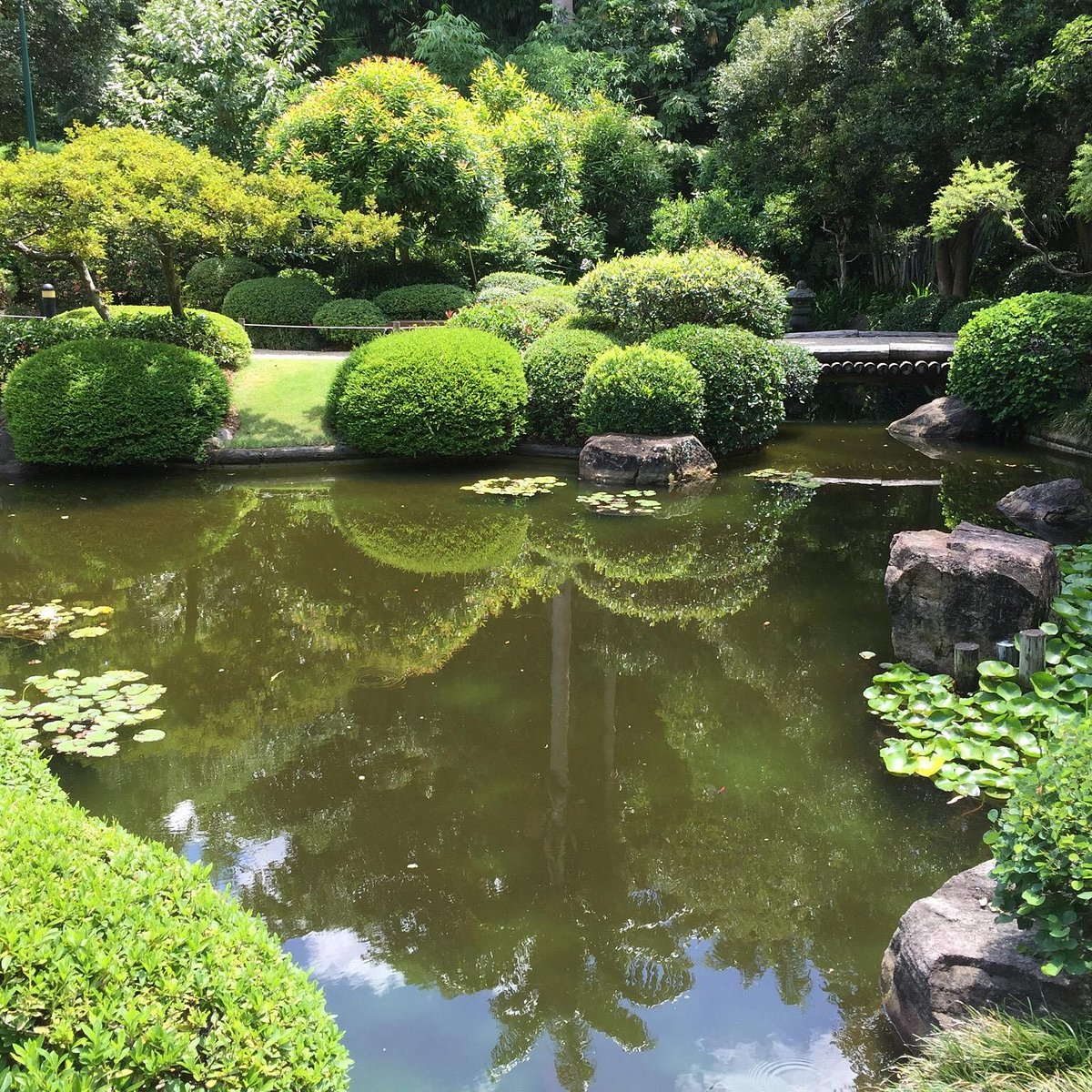 botanical garden brisbane