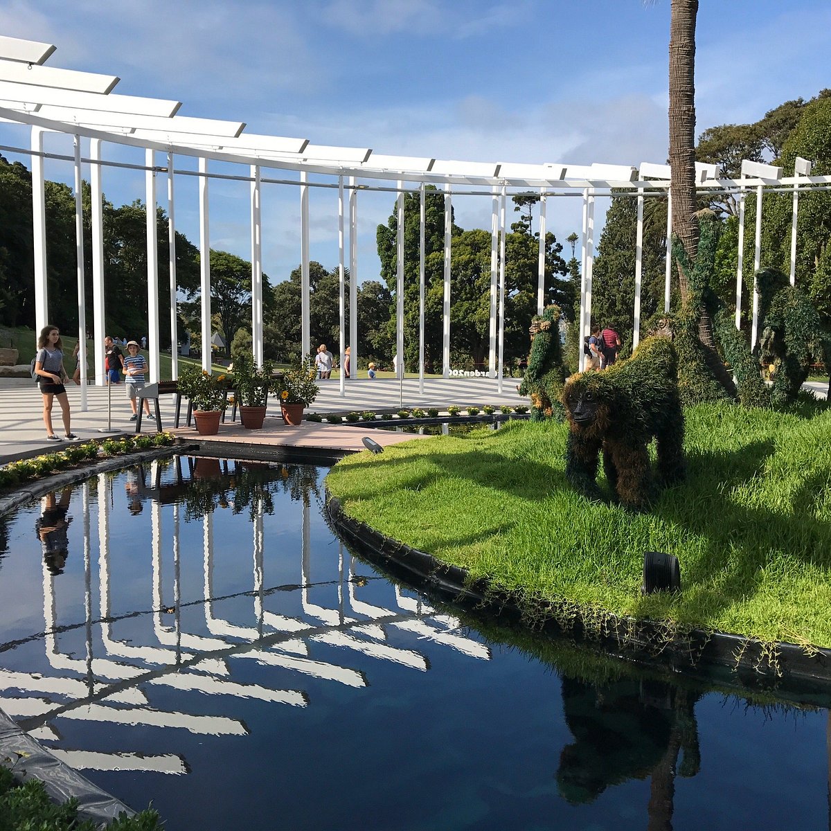 botanical garden sydney