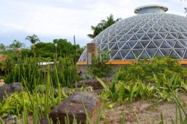 botanical gardens in brisbane