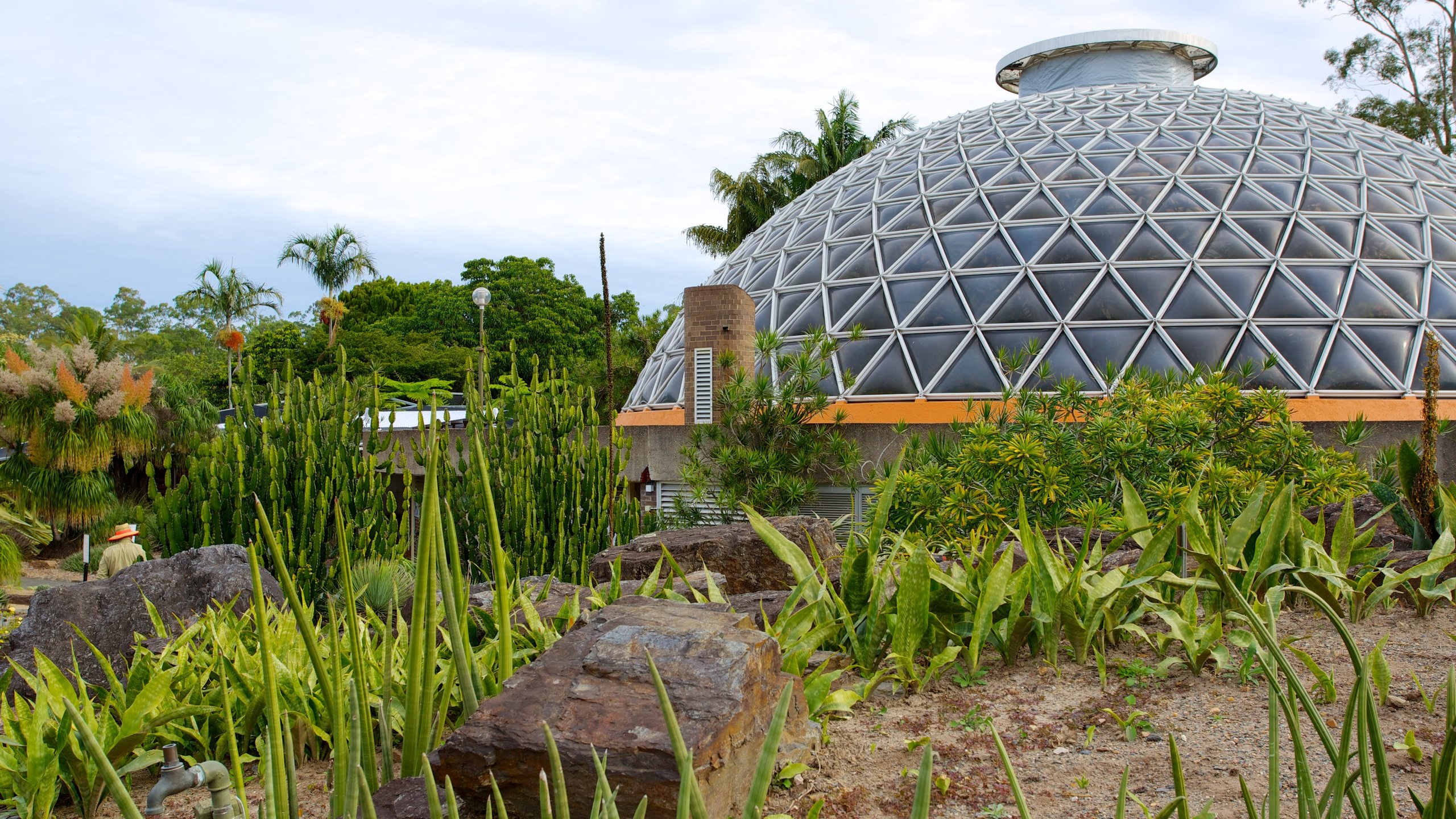 botanical gardens in brisbane