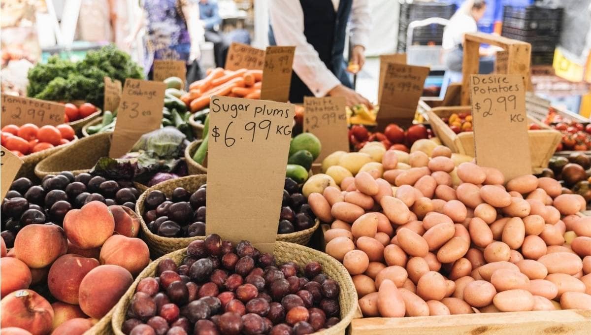 brisbane sunday markets