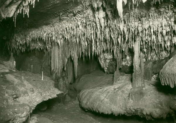 buchan caves victoria australia