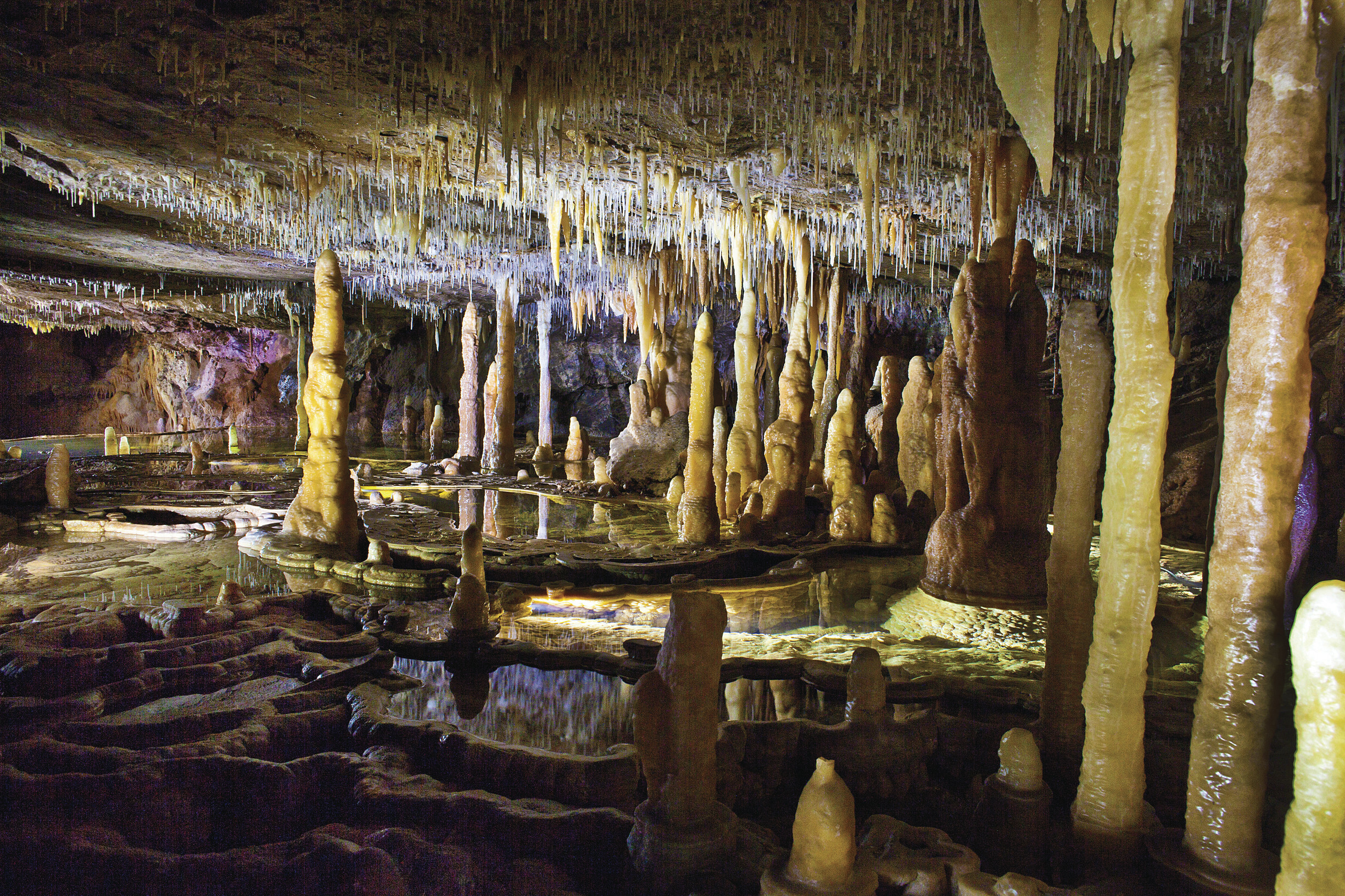 buchan caves victoria