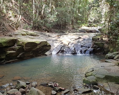 buderim