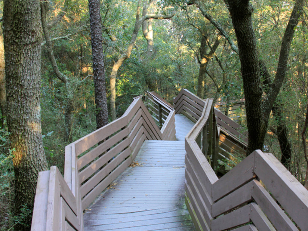 bushwalking near me