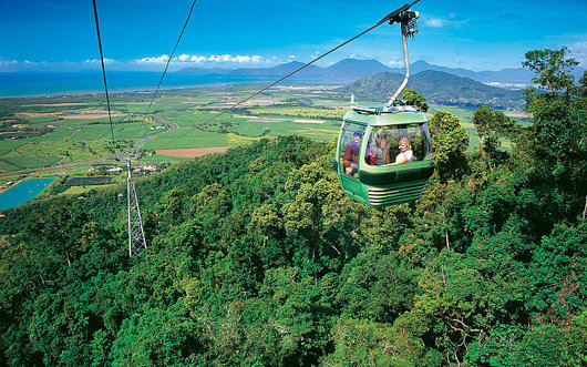 cairns skyrail rainforest cableway